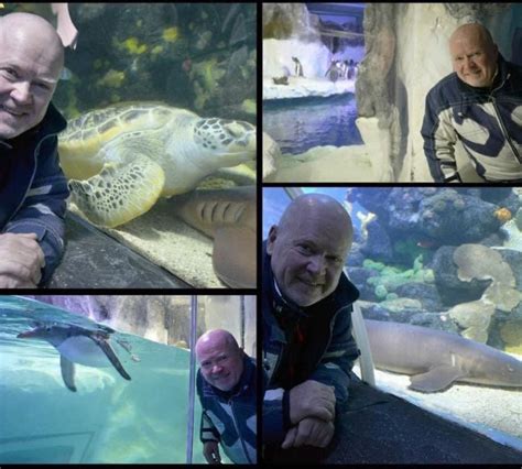 phil mitchell aquarium